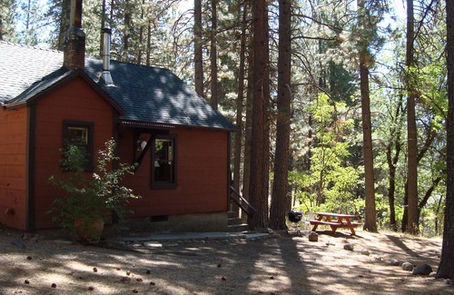 Blairsden-Graeagle Cabina | Charming Cabin ~ 40 acres en la pintoresca Medio Tenedor del río de la pluma