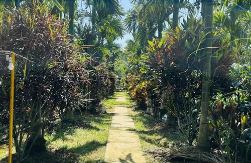 Vastare Casa | Nature Stay - Private Water Stream and a Pool