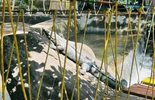 Vastare Casa | Nature Stay - Private Water Stream and a Pool