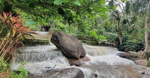 Vastare Casa | Nature Stay - Private Water Stream and a Pool