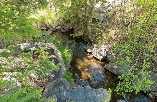 Hill City Casa | Nature Stay with Views Like No Where Else