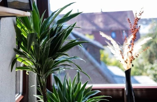 Steinenbronn Apartamento | Nature Terminal Apartment - Emma Matratze & Waiputv