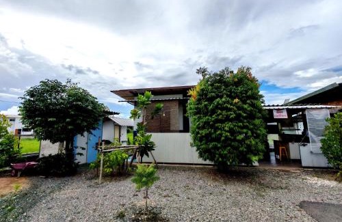 San Sai Casa | nature