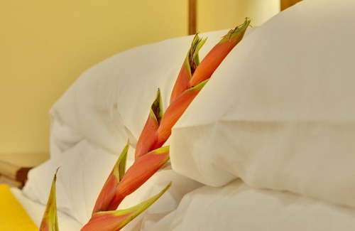San Ignacio Cabina | Nature trails, Spa, horse back riding, restaurant, Deluxe Room w/ Balcony - MB