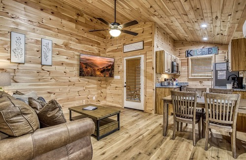 Cosby Cabaña | Natures Getaway -Pickleball Court, Creek, WIFI, Mountain Views, Starting at $79