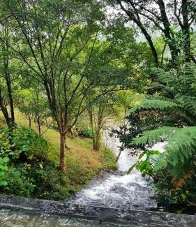 Barao Casa | Natureza e conforto em um só lugar