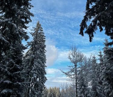 Furtwangen Casa | Naturfreundehaus Brend
