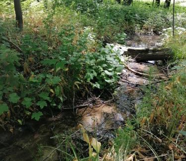 Varvolgy Apartamento | NATURKERT Vendégház