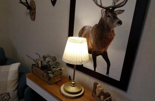 Altenau Apartamento | NaturLiebeHarz
