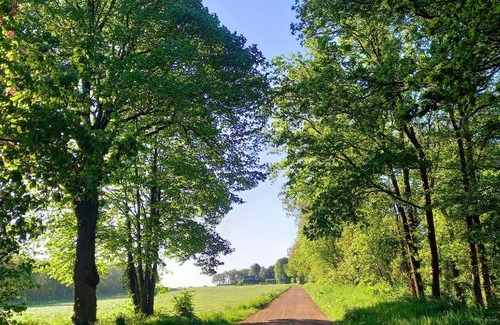 Baars Casa | Natuurhuisje Wolterholten