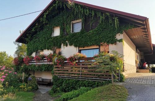 Vrhnika Apartamento | Nauportus