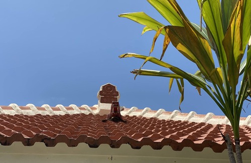 Nago Casa | Near Kouri Island Okinawa old Folk House 50 MAX 5 People
