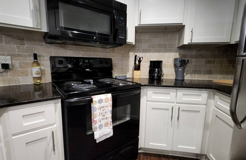Astrodome Apartamento | Near Nrg - Book For Rodeo - 2 Bedroom 2 Bath - Resort Style Pool