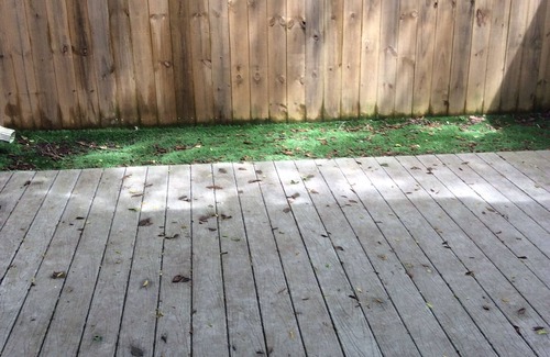 South Baton Rouge Casa | Near Perkins Rowe and Mall of Louisiana