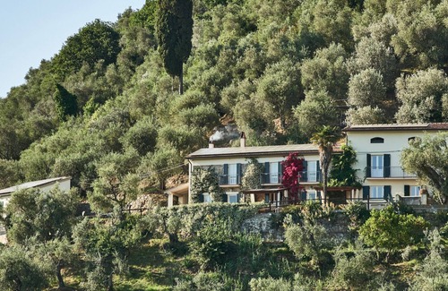 Vicopelago Casa | Perfecto lugar de vacaciones! Cerca de Pisa y Lucca - Olive Grove House & Superb Pool