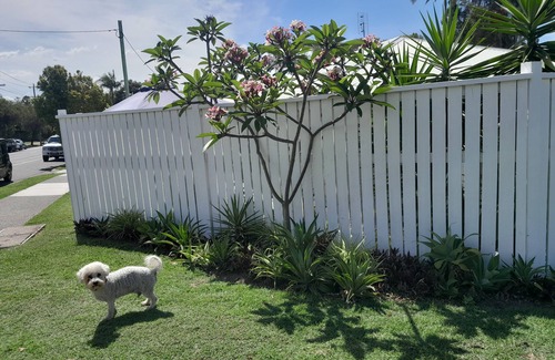 Labrador Apartamento | Near Surfers, walk to cafe's, restaurants, & dog beach. Dog friendly!