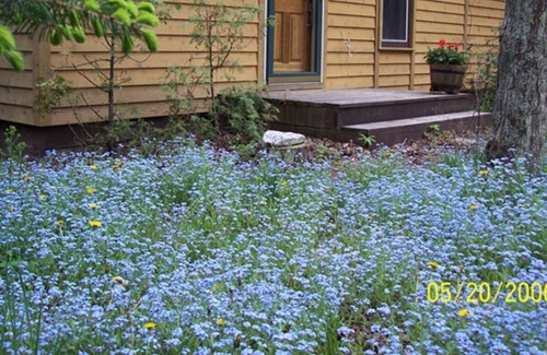 Jacksonport Cabina | Neat Cottage Getaway en el lago Michigan Rugged Shore = relajar-romántico-restaurar-ah