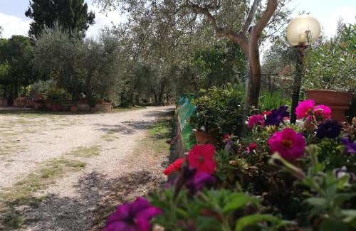 Colle di Val d'Elsa Apartamento | Nel Chianti lungo la Francigena