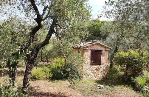 Colle di Val d'Elsa Apartamento | Nel Chianti lungo la Francigena