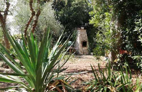 Colle di Val d'Elsa Apartamento | Nel Chianti lungo la Francigena