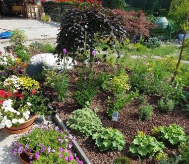 Stresa Casa | Nel giardino di Dafne
