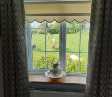 Kilcogy Cama Y Desayuno | Nellies Cottage B&B