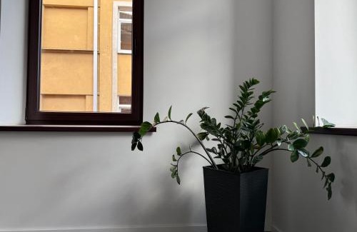 Old Town Apartamento | Nemunas Apartaments
