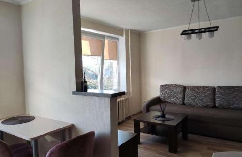 Panevezys Apartamento | Nemunas