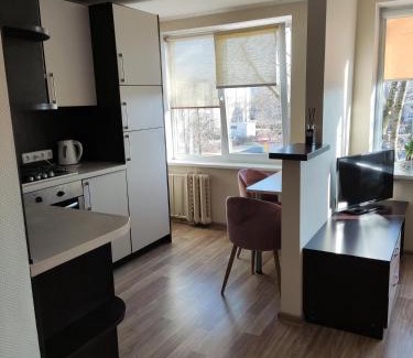 Panevezys Apartamento | Nemunas