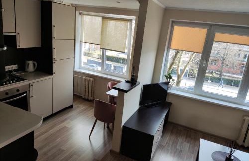 Panevezys Apartamento | Nemunas