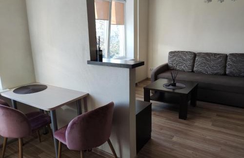 Panevezys Apartamento | Nemunas