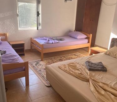 Bregvija Casa | Nena NY