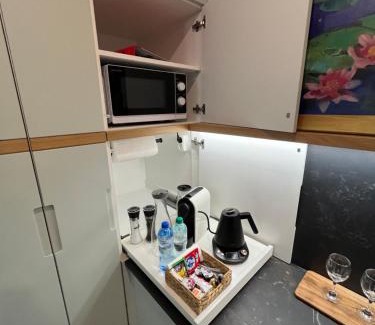 Krowodrza Apartamento | Nenufar Cracow Garden Kraków Parter Free Darmowy Parking Ogród Netflix Klimatyzacja