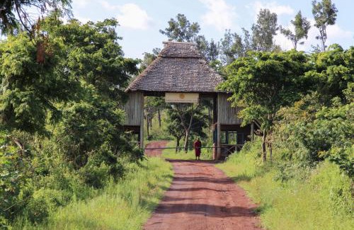 Ngorongoro Conservation Area Complejo | Neptune Ngorongoro Luxury Lodge - All Inclusive