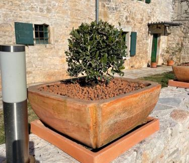 Svetvincenat Villa | Neroli Place