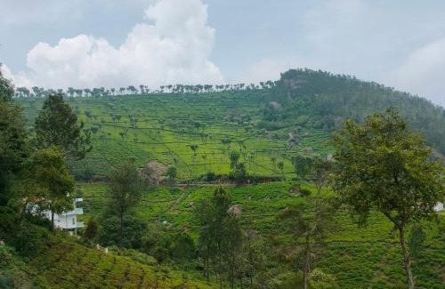 Kotagiri Casa | Nest Valley Kotagiri