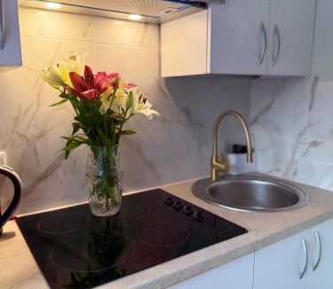 Druskininkai Apartamento | NESTAa