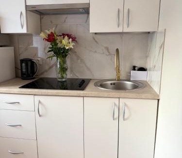 Druskininkai Apartamento | NESTAa