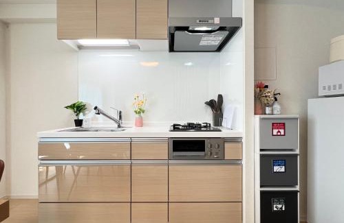 Kinshi Apartamento | nestay apartment tokyo skytree