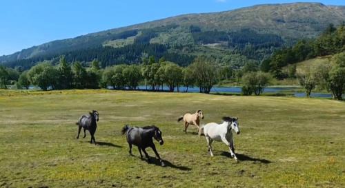 Arna Casa | Nesvika nature reserve holiday home, only 25 min from Bergen