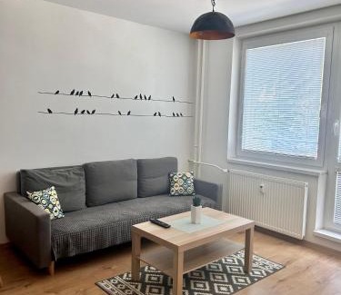 Banska Bystrica Apartamento | Netflix & WiFi FREE Dvojizbový byt blízko centra - 24h self check-in