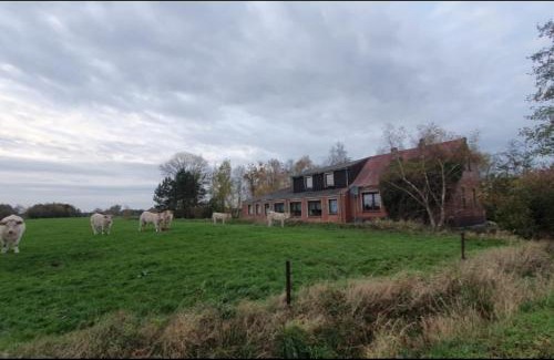 Jaderaltendeich Apartamento | NEU! FeWo Deichblick OG am Jadebusen/Nordseeküste