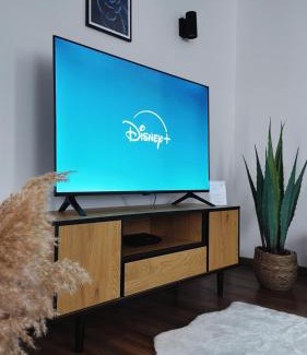 Glauchau Apartamento | Neu! FeWo Glauchau am Schloss Wlan Netflix Disney