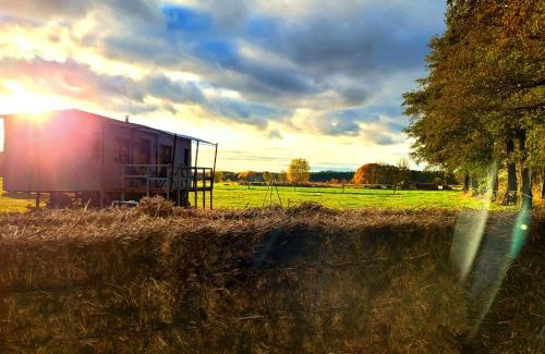 Lubbenau/Spreewald Apartamento | NEU Luxuriöses Tinyhaus Ferienhaus FREYR einmalig in Lübbenau