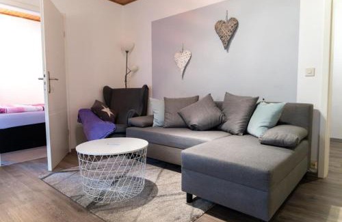 Weissenstadt Apartamento | NEU! Reiterhof Finkenmühle Fewo Sancho mit Kamin