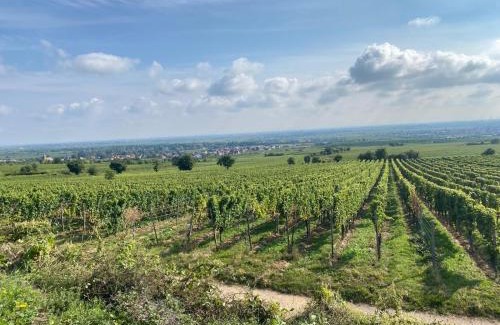 Deidesheim Apartamento | Neubau-Oase am Weinbergsrand