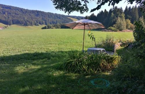 Maierhofen Apartamento | Neueröffnung, 2 wunderschöne Ferienwohnungen im Grünen