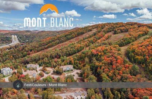 Saint-Faustin-Lac-Carre Casa | Neve Pool & beach in the heart of Mont-Blanc