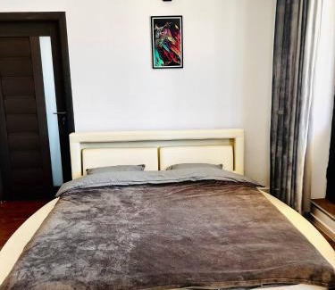 Voluntari Apartamento | NEW 1BR Apartment w Parking and Fast Wi-fi