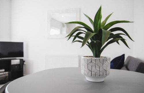 Didcot Casa | NEW 2BD Pontac Flat in the Heart of Didcot